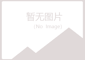 南江县山柳会计有限公司